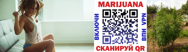 где купить наркотик  Багратионовск  Бошки марихуана гибрид 